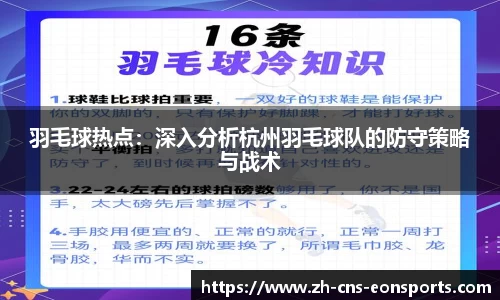 羽毛球热点:深入分析杭州羽毛球队的防守策略与战术